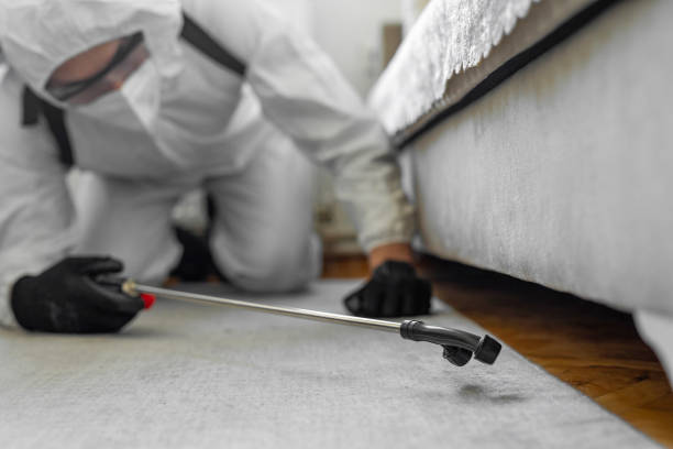 Professional Cockroach Control technician working in Long Beach, MS