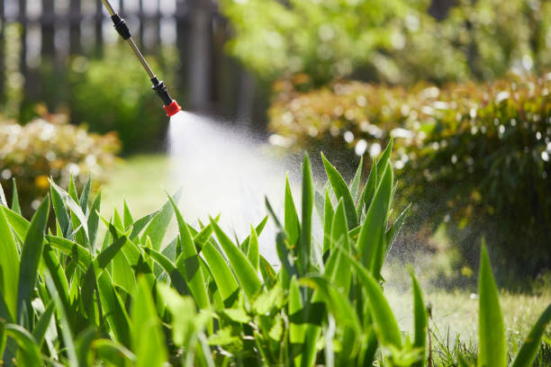 24/7 Emergency Cockroach Control experts in Long Beach, MS