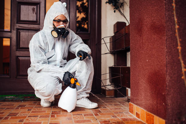 Reliable Cockroach Control contractor in Long Beach, MS by Nex Pest Control